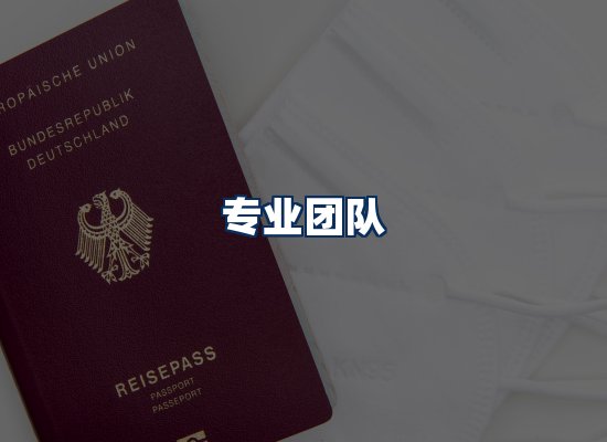 专业团队
